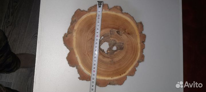 Спил акации