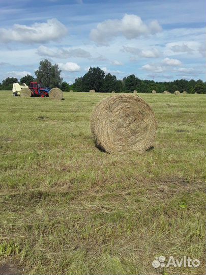 Сено,салома