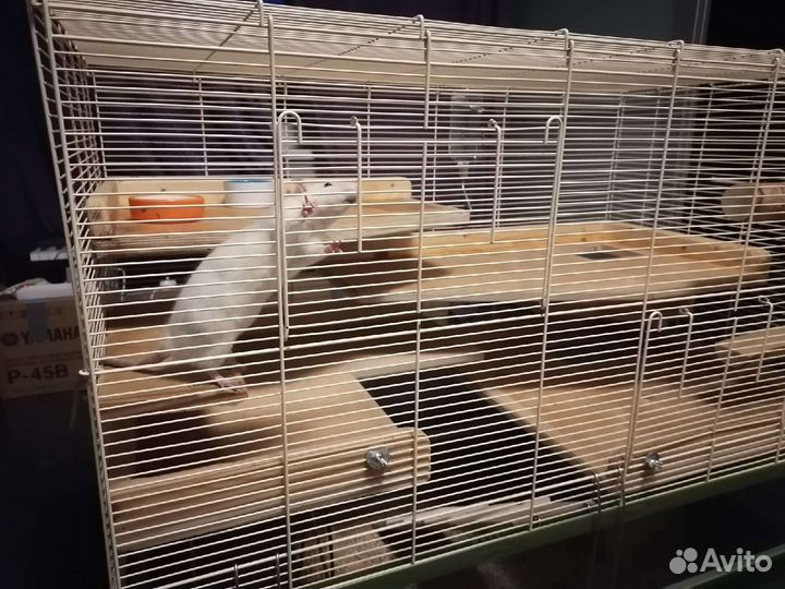 Большая клетка для грызунов