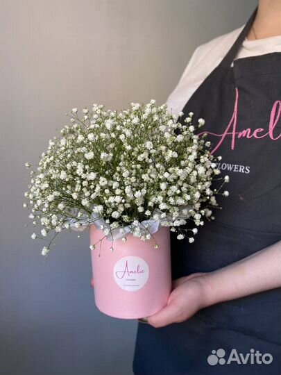 Коробка с гипсофилой