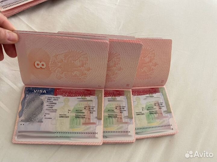 Оформление визы США, шенген, бот на визу США