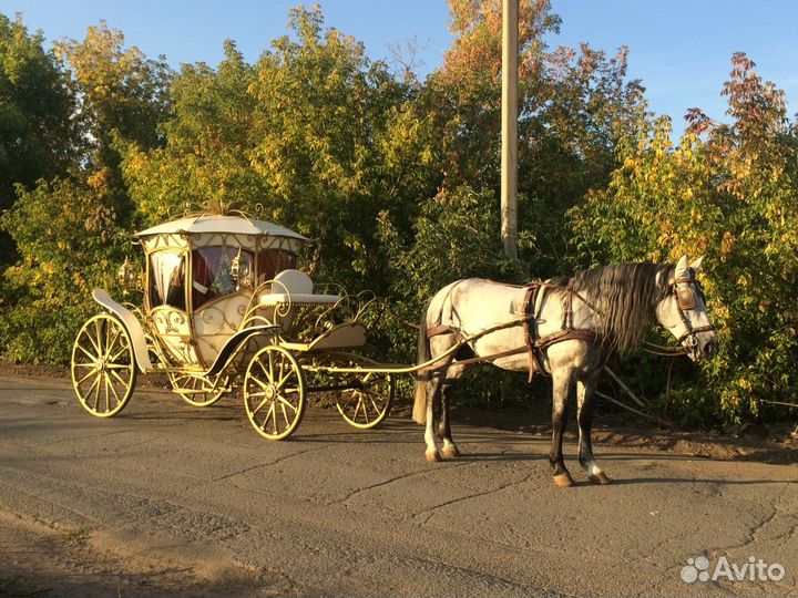 Аренда кареты 