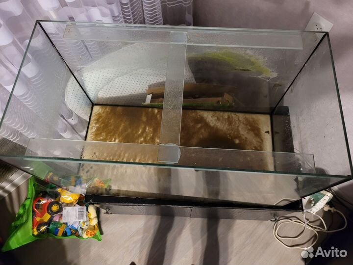 Аквариум