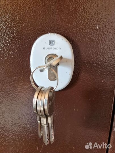 Дверь входная дизайнерская новая