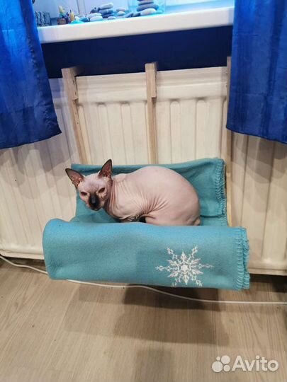 Гамак на батарею для кошек