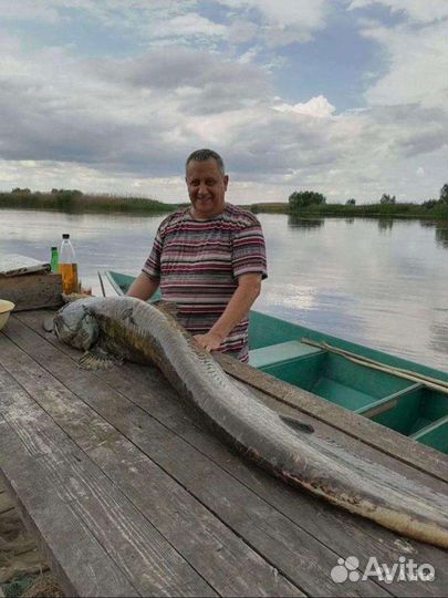 Рыбалка и отдых