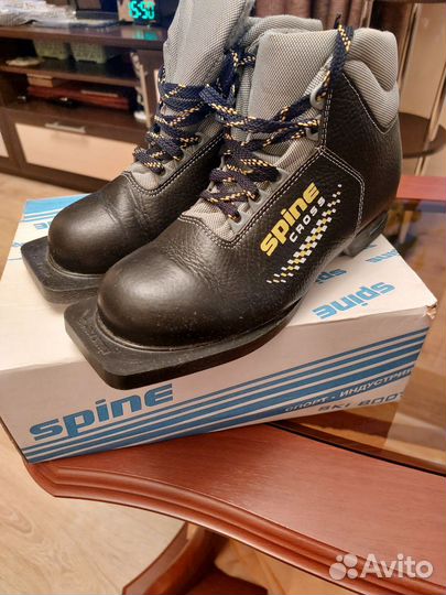 Лыжные ботинки spine