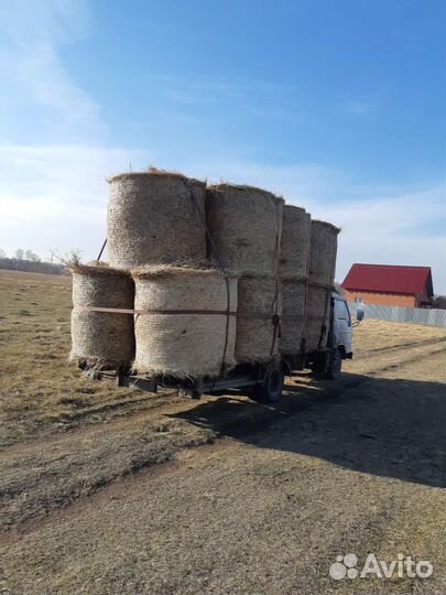 Сено в рулонах с доставкой