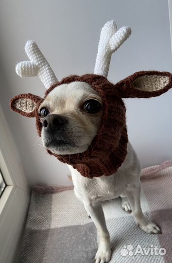 Шапка для собак новогодняя с оленьими рожками