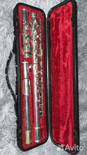 Флейта поперечная