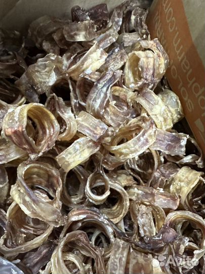 Набор корма для собак