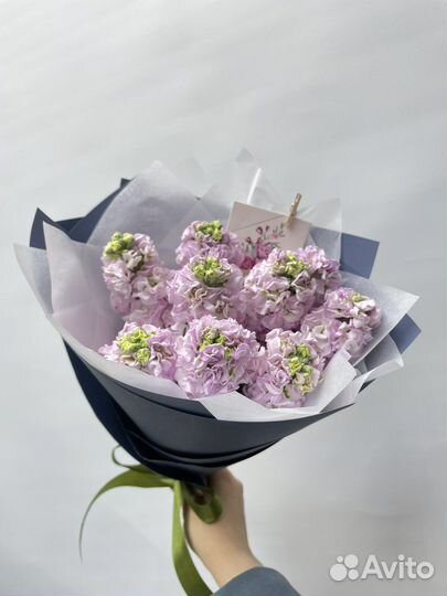 Маттиола букет из маттиолы