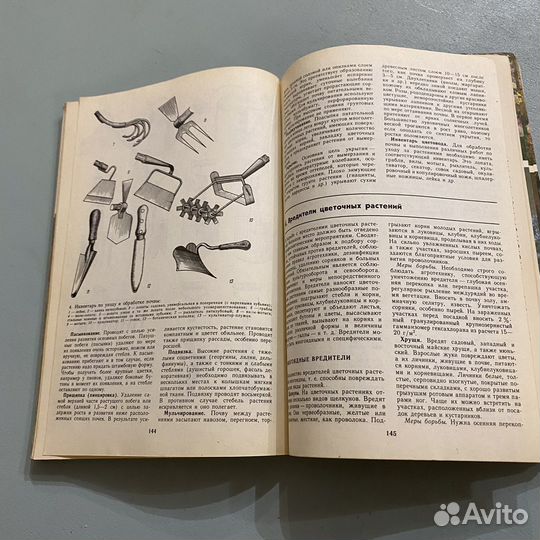 Справочник цветовода Федорук 1984