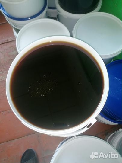 Мед гречишный 2023