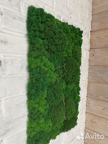 Панели из стабилизированного мха. Мы в Омске