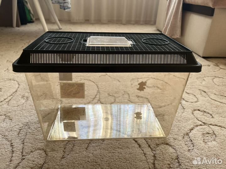 Аквариум для лягушки