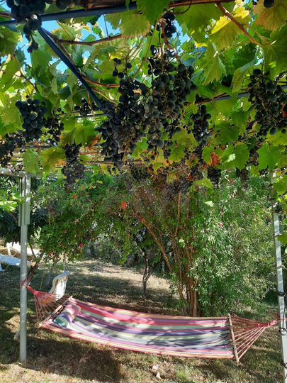 Коттедж 186 м² на участке 6 сот.