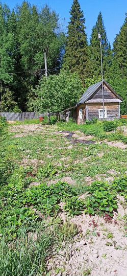 Участок 5 сот. (СНТ, ДНП)