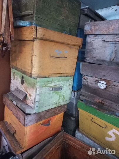 Ульи для пчел