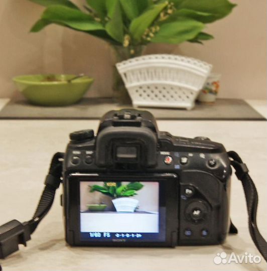 Sony a580 (Сони а580) - цифровой, зеркальный фотоа