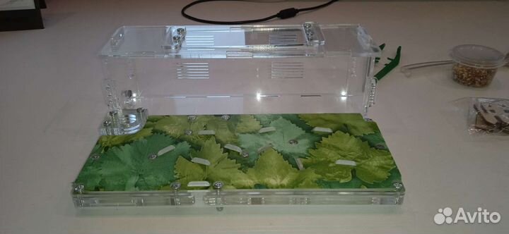 Муравьиная ферма бу (Формикарий)