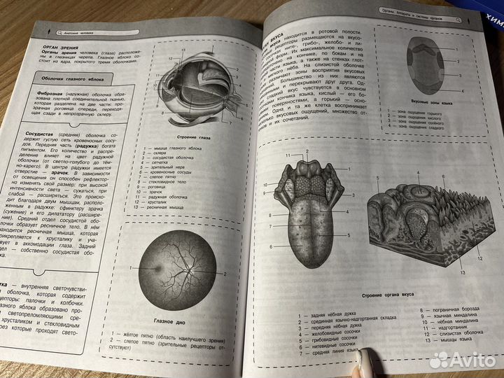 Справочник огэ и егэ биология