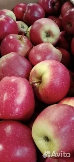 Яблоки