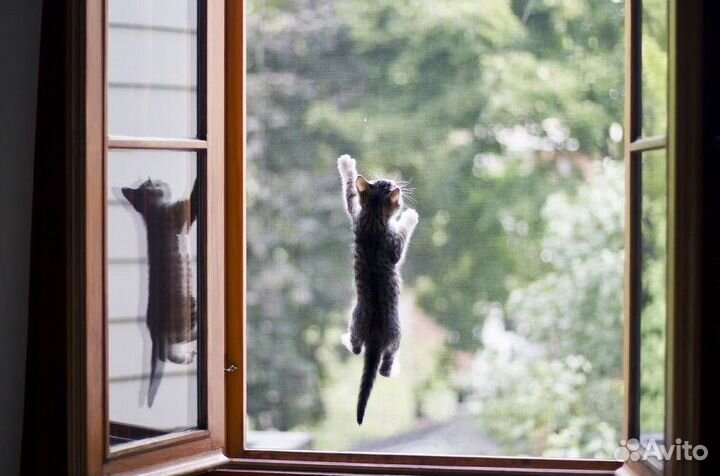 Москитные сетки на окна