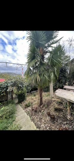 Дом 79,2 м² на участке 6 сот.