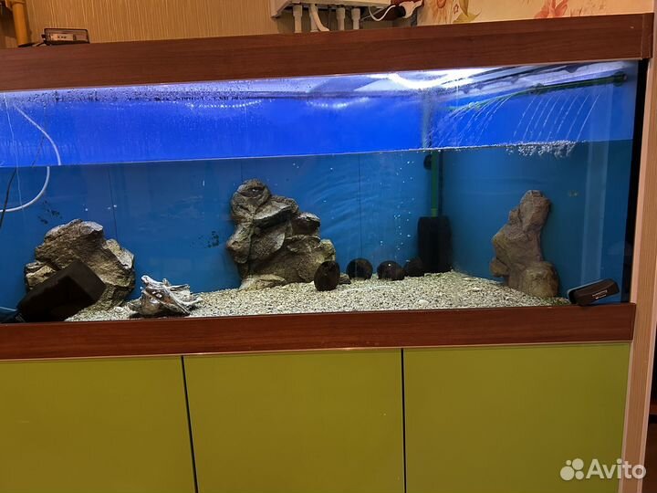 Аквариум