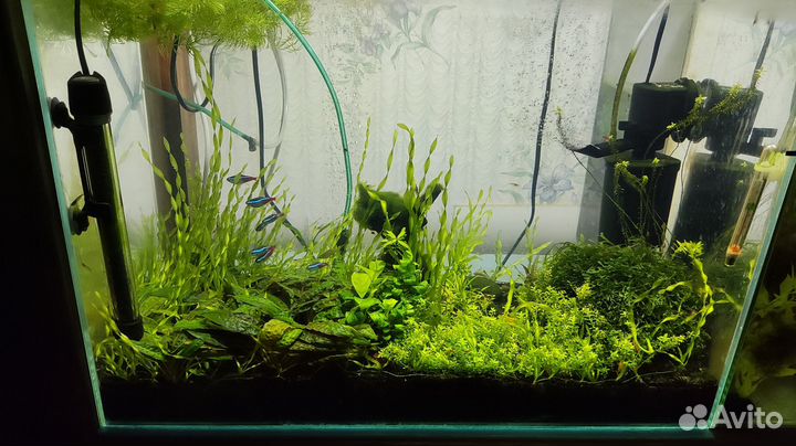 Аквариум с рыбками
