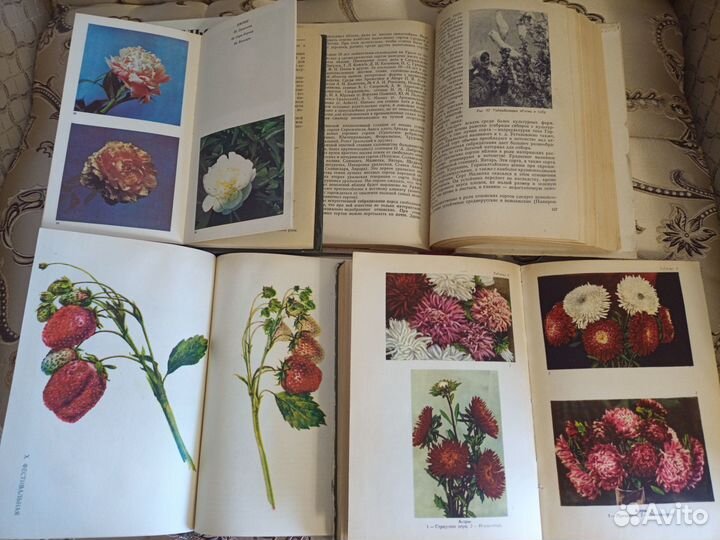 Книги СССР по садоводству, 60-70г