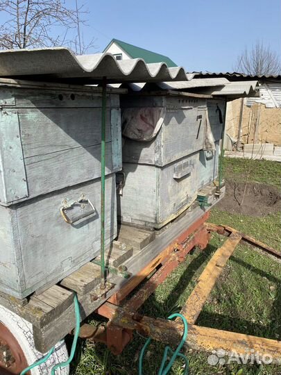 Продам ульи для пчел