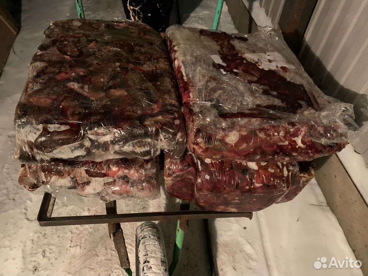 Рыбные отходы для животных