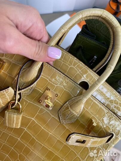 Сумка hermes birkin 25 Crocodile Niloticus