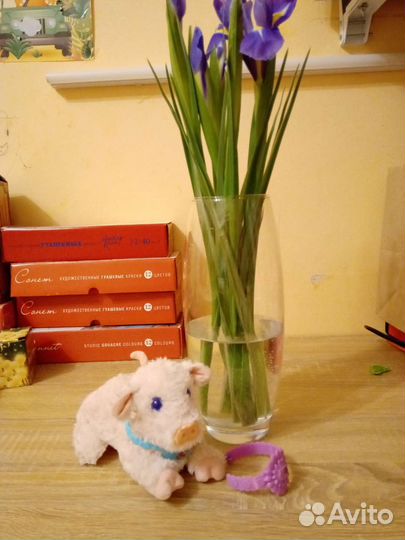 Игрушка Fur Real Friends свинка