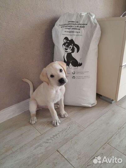 Сухой корм Променад супер-премиум для щенков