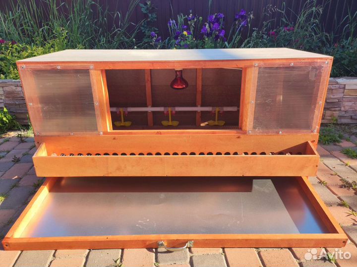 Брудер для цыплят