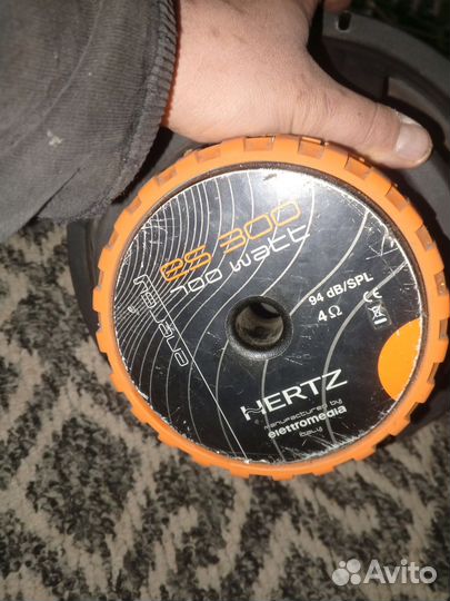 Басовик hertz