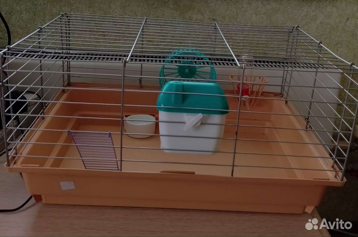 Клетка