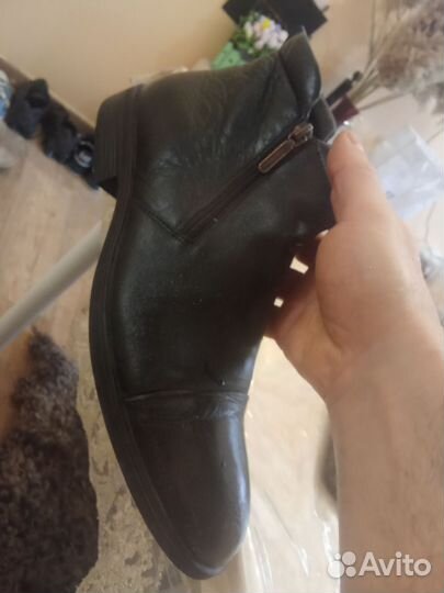 Зимние ботинки Карло позалини