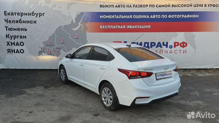 Петли двери передней левой Hyundai Solaris