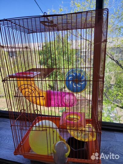 Клетка для хомяка бу