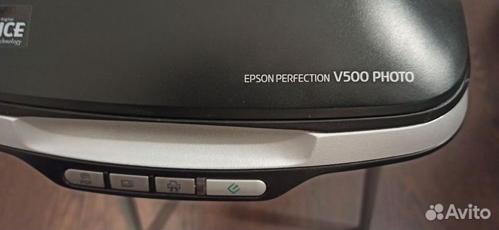 Epson perfection v500 photo