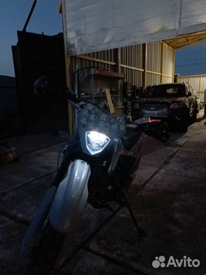 Progasi Palma 250