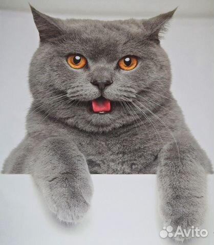 Фотообои 3d. На холсте