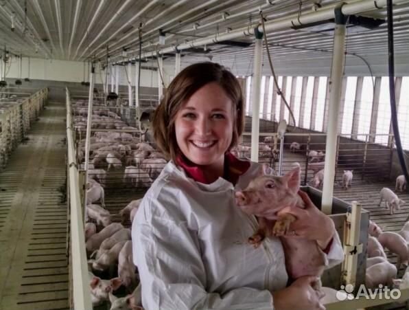 Работник на животноводческий комплекс