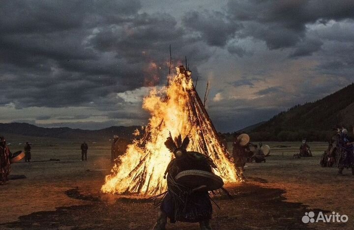 Чай пуэр « Космос шаманов » шмн13776