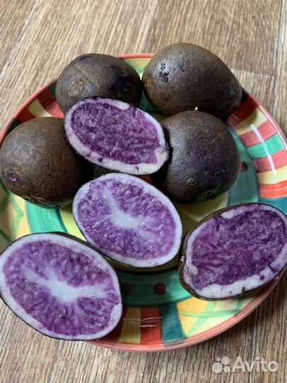 Фиолетовый картофель