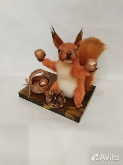 Белка проказница (ручная работа)